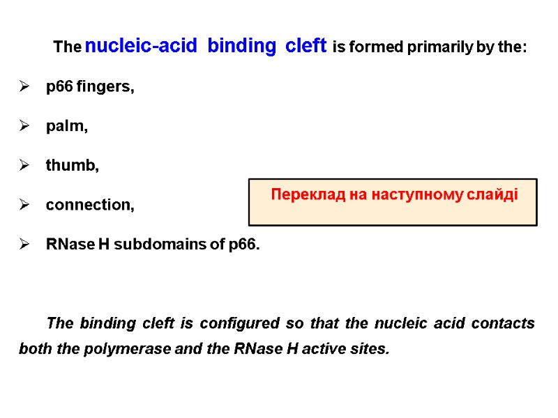 The nucleic-acid binding cleft is formed primarily by the: p66 fingers,  palm, 